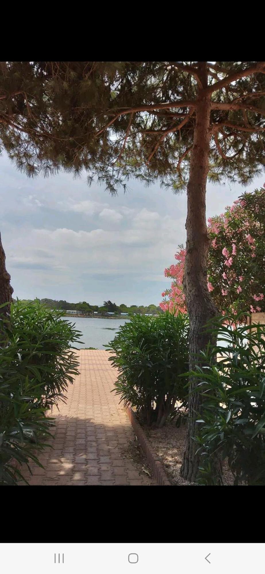 Villa 6P Piscine Spa Privatif Wifi Proche Des Plages Le Barcarès Eksteriør billede